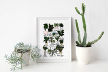 Load image into Gallery viewer, HouseplantsStyledStock-02.jpg