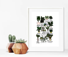 Load image into Gallery viewer, HouseplantsStyledStock-03.jpg