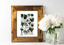Load image into Gallery viewer, HouseplantsStyledStock-04.jpg